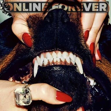 Hound - Hype Melodic Trap Sample Pack sample pack cover