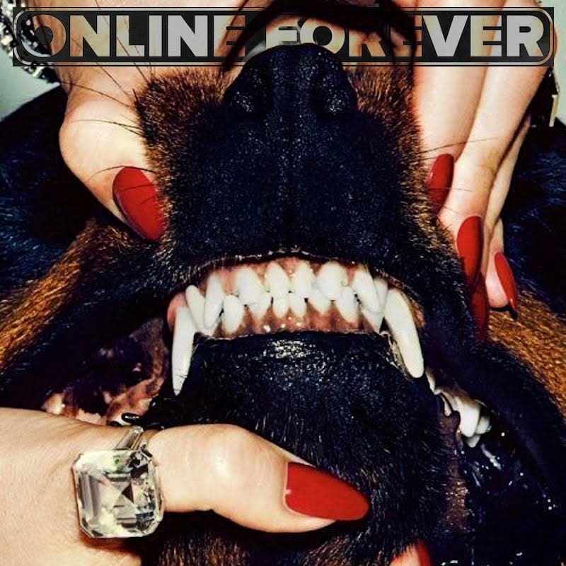 Hound - Hype Melodic Trap Sample Pack sample pack cover