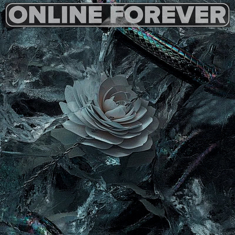 Flooded - Melodic Gunna DS4Ever Sample Pack sample pack cover