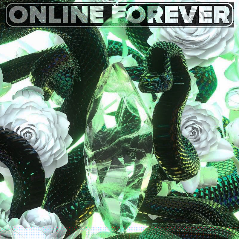 Album artwork for Slither - Lil Baby/4PF Sample Pack